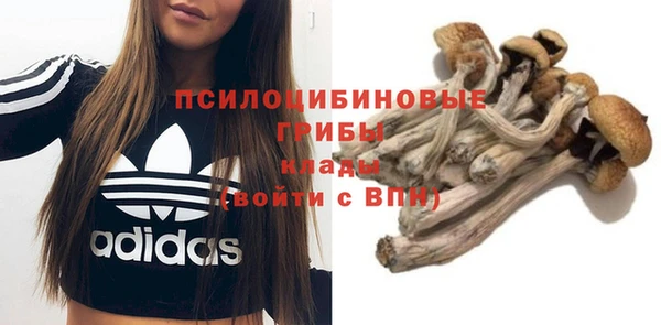 ПСИЛОЦИБИНОВЫЕ ГРИБЫ Куйбышев
